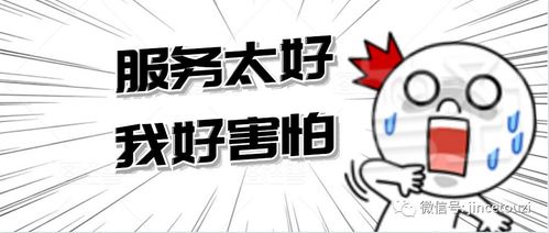 金策投資咨詢 企業的貼心服務管家，精準投資咨詢引領未來